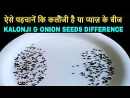 कलौंजी और प्याज़ के बीज में ये है अंतर | Kalonji and Onion Seeds Difference