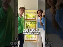 Growing Food In Our City Apartment | Auk Mini #shorts @Aukeco