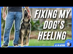 Fixing My Dog’s Heeling! Stop Common Mistakes | Al in Action
