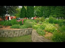 Great Gardening | Whiteside Bloomers Garden, Salvia Secrets and Apple Tree Tips