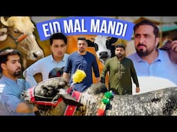 Eid mal mandi 2025 | Pashto funny video | Zindabad vines  2025