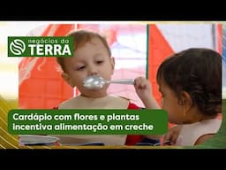 Cardápio com flores e plantas incentiva alimentação em creche -  Negócios da Terra (26/04/2025)