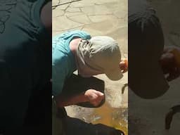 Tasting Hepburn Springs Water