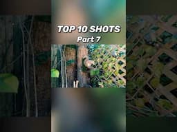 Top 10 Shots with the EDgun Leshiy 2 (Part 7)