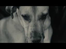 Bear & Eddie_Random