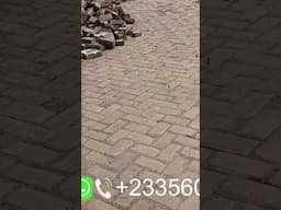 +233560124878 call us for your landscape works.