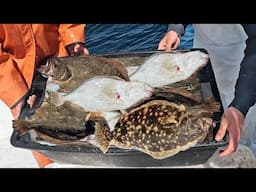Flounder Fishing was Illegal in 2024 (and Might be in 2025)