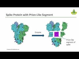 Can Spike Protein Trigger a Mad Cow Disease Mimic?