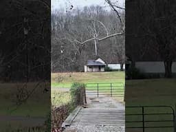 The Murder of Stringbean and Where it happened #shorts