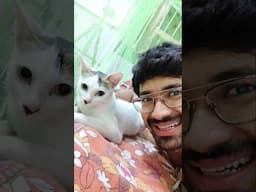 Just Me and My purr-fect partner🐈🐾❤️ #catlover #cat #pets #petlover #cats #cutekitty #kitty #shorts