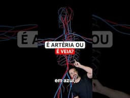 Qual a diferença entre as artérias e as veias? #anatomy #anatomiafacil #curiosidades #corpohumano