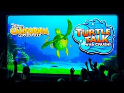 Turtle Talk with Crush 2025 at Disney California Adventure | FULL SHOW 4K Ultra HD