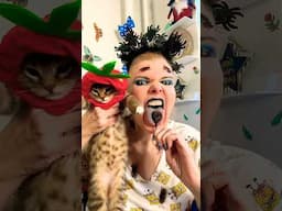 #ASMR #Lipgloss #Candy #Lollipop #Furry #Mouth #Eating #Pet #Pagan #Diablo #ASMR #Funny #Oddly