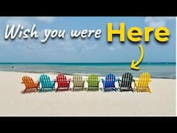 Walking Tour: Palm Beach Aruba in 4K UHD