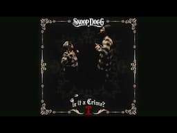 Snoop Dogg, Pharrell Williams, Tonio Armani - Spot (Visualizer)