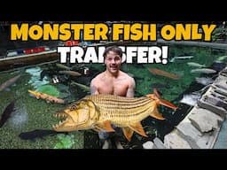 Moving MONSTER FISH into NEW POND!! (Scary)