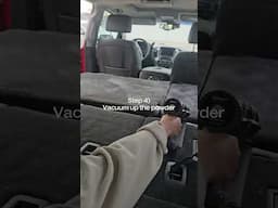 How to keep your car fresh with pets