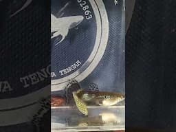 guppy fish yellow cobra riject