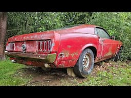 1969 Ford Mustang Fastback 302 Tour   FOR SALE in Philly