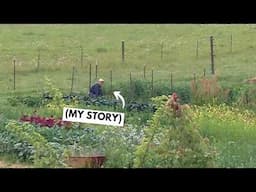 What I wish everyone knew about gardening (from a landscape designer)