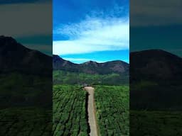 Lockhart 🍃