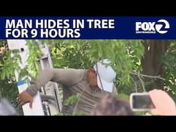 Man facing deportation hides in tree for 9 hours to evade ICE | KTVU