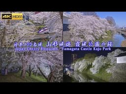 山形霞城公園の桜 Japan Cherry Blossoms - Yamagata Castle Kajo Park - 4K HDR Sakura 山形城跡 春の風景