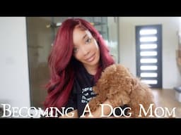 Becoming a Dog Mom | Realistic Days with My Mini Poodle & Home Updates