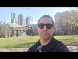 Toronto LIVE: Exploring The City On Wednesday Evening As Youtube Turns 20 years Old