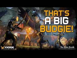 ESO - Lep Seclusa Pick Up Group on my ALMOST Immortal Tank Build