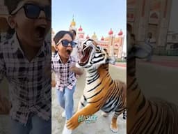kunali tiger se dar gaya #hasleetv