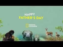 Happy Father's Day | National Geographic