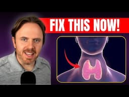 Shocking Gut-Immune Triggers Behind Hormone Chaos