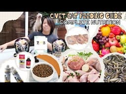 Asian Palm Civet Cat Diet / Complete Nutrition / treats / vitamins & Supplements