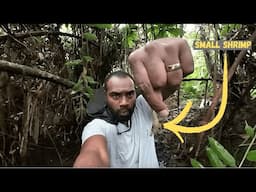 Catching Small Shrimps In The Mangroves🦐🇫🇯