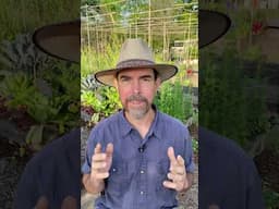 3 Ways To Garden Abundance In A Warming Climate