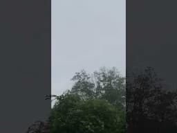 Rainy Sunday #shorts #rain #rainsounds #sunday #rainyday #rainfall #thunderstorm #rainy #gloomy