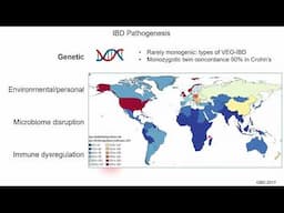 The Matrix Reloaded: Rethinking the Extracellular Matrix’s Role in Inflammatory Bowel Disease