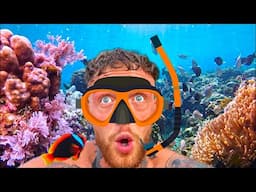 Is The World's Best Snorkelling Spot Hidden in The Philippines?