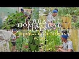 VLOG | Urban Homestead Living | My Fault | Herbs + Hand Pollination + Harvest | (Day in the Garden)