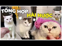 TỔNG HỢP NHỮNG TÌNH HUỐNG HỀ HƯỚC - Chuyện May Đi Lạc | maly.gaugau