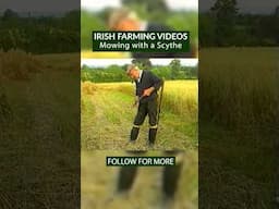 Mowing with a scythe