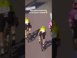 😳Neilson Powless Sits Wout Van Aert Down at Dwars door Vlaanderen #cycling