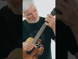 Flight Lily Steel String Baritone Ukulele – Blues Cover