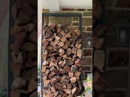 I guess we won’t be using any more firewood this season #nature #mothernature #nesting #birds
