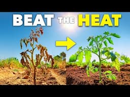 How Smart Gardeners Prepare for a Heatwave