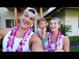 What REALLY Happened in Hawaii…