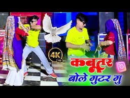 कबूतर बोले गुटर गु Dj dance video ll Kabutor Bole Gutor gu ll Singer Dg Mawai