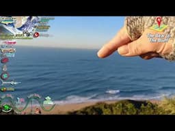 Sards at The Bluff by The Bear #sardinerun2025 #sardinemigration