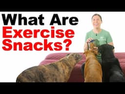 What Are Exercise Snacks? Find Out!